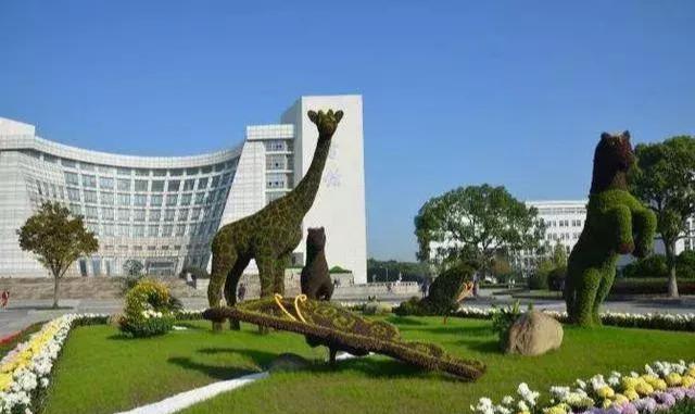 “不复读就去上大”，为什么上海人如此不待见上海大学？