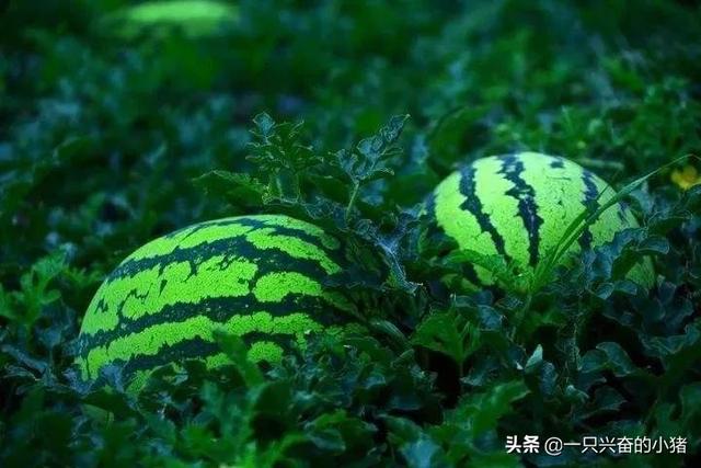 会聊天就能引流的傻瓜式技巧