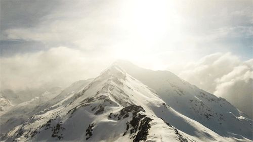 杀死那个游戏公司