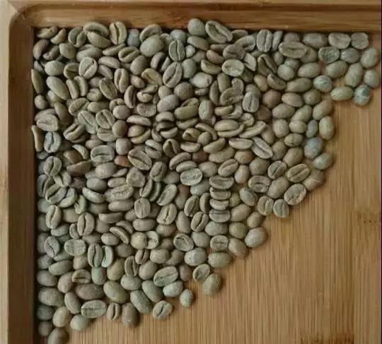 新手咖啡豆推荐 | 如何挑选适合自己的咖啡豆？