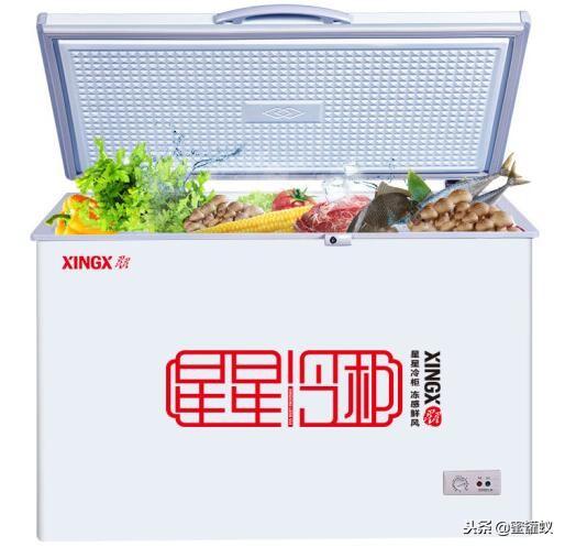 家里要买个小冰柜什么牌子质量好容量大？