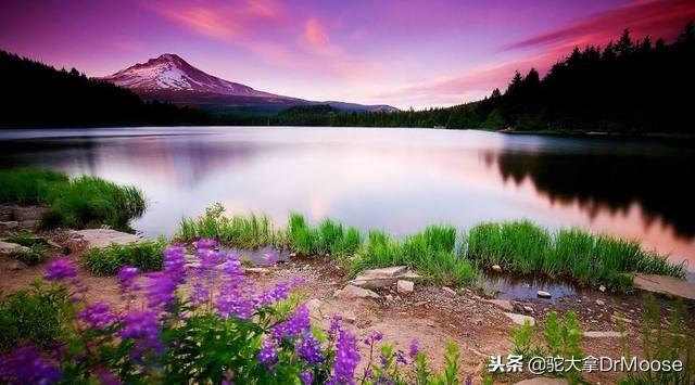 感恩节的由来和习俗