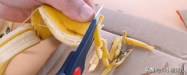 家里有蟑螂不要用药了，通过这招，蟑螂全部死光，还卫生