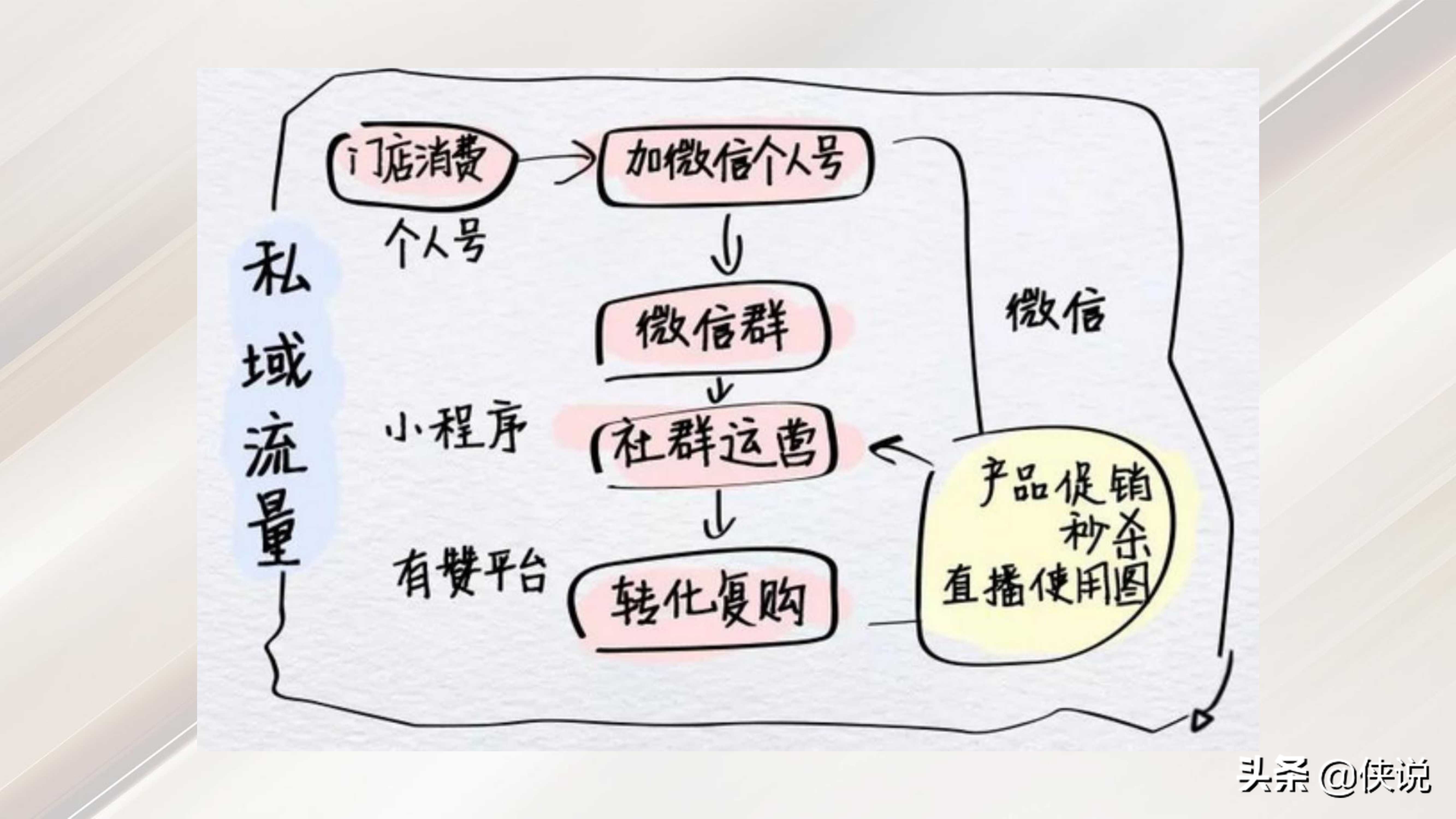 私域流量：直播赋能线下门店（门店管理与方案系列19份）