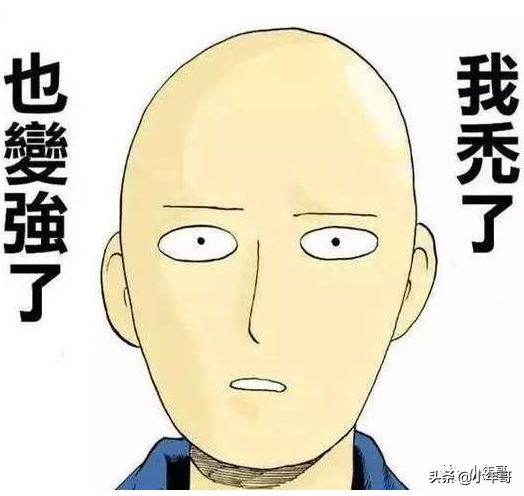 学会运营先行