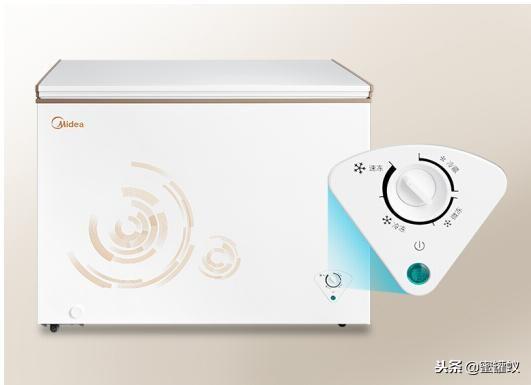 家里要买个小冰柜什么牌子质量好容量大？