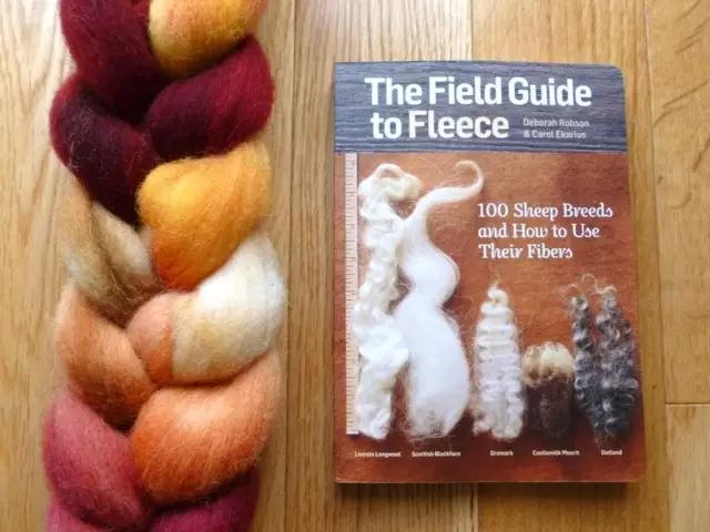 11f90000756d2fd5989c?from=pc