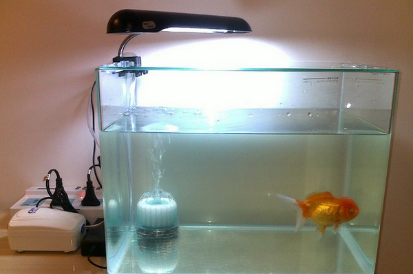 13cc000a2ec20cc47ce2?from=pc