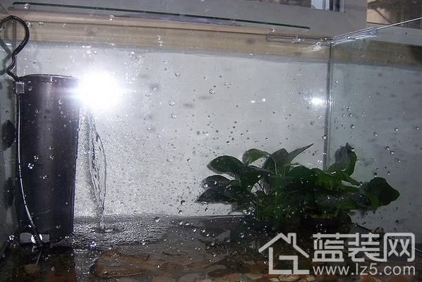 148b0008641622298178?from=pc