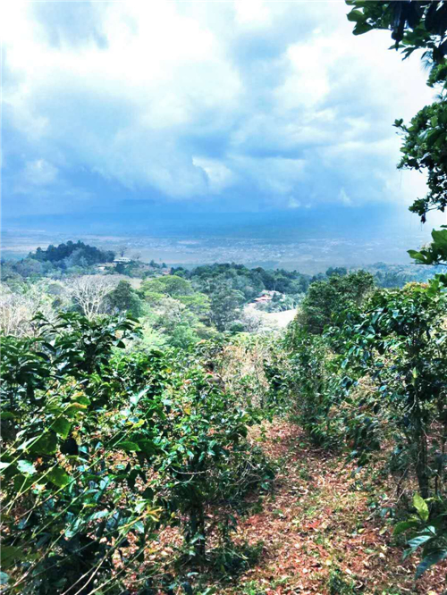 15324078768580cce18b6bc?from=pc