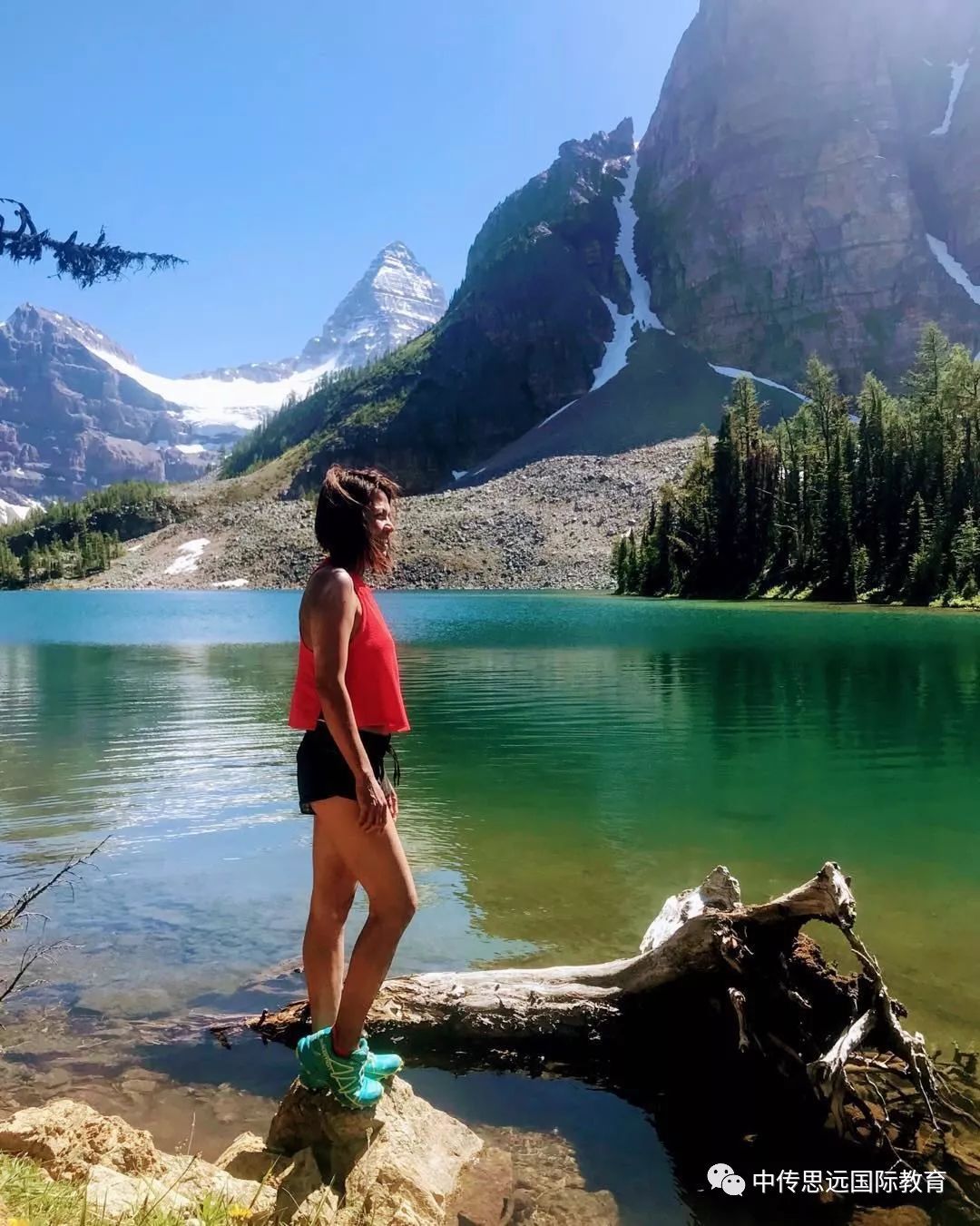 153293264778831ac17e448?from=pc