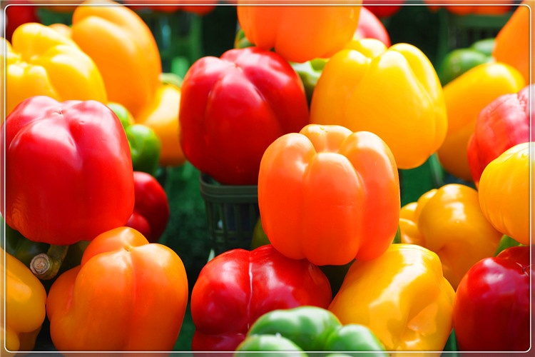 44岁的创业失败者心灰意冷，想回农村种几亩荒地，种什么效益高