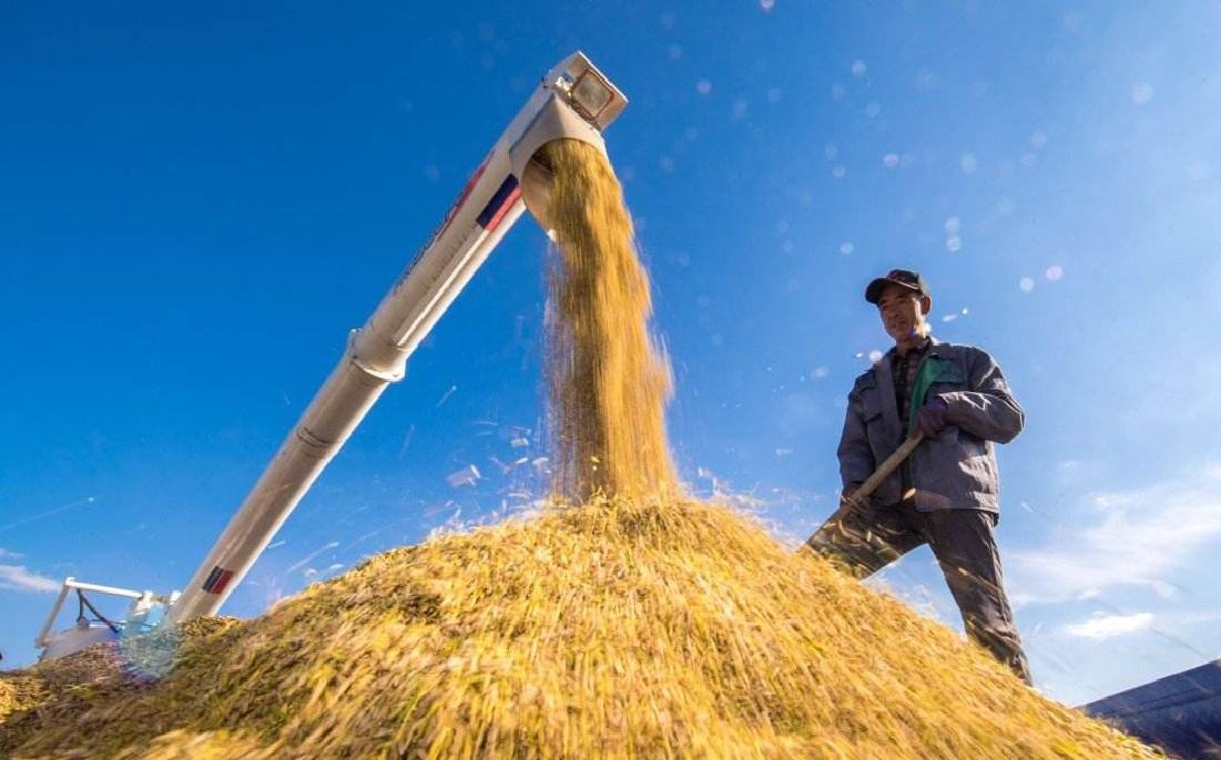 未来农村将现4大机遇，普通人也能布局，专家呼吁赶紧去农村买地