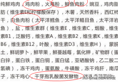 259625655ce44cbf92bba48c8225ff6c?from=pc