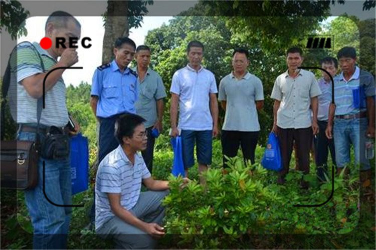 45岁失业者负债50万，一无所有回农村能有什么出路？推荐一些