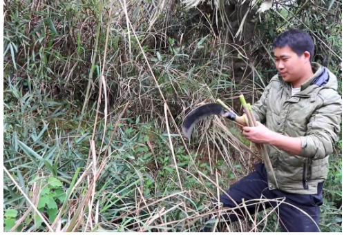 90后外卖小哥辞职创业，半年开5家快餐店，背后模式值得借鉴