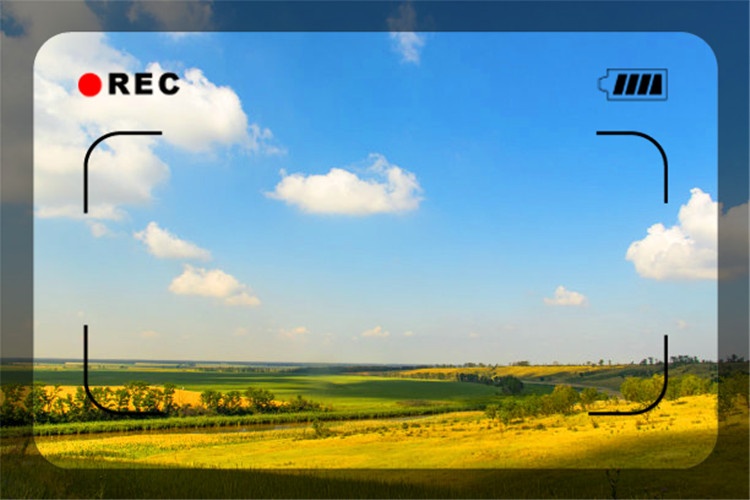 45岁失业者负债50万，一无所有回农村能有什么出路？推荐一些