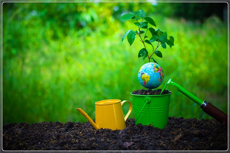 44岁的创业失败者心灰意冷，想回农村种几亩荒地，种什么效益高