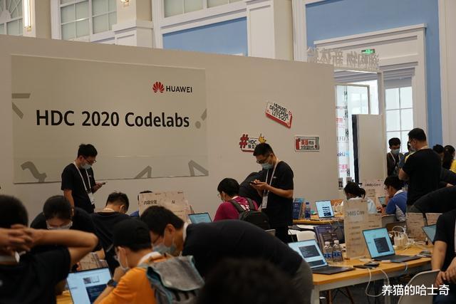 有惊喜，有热情，有关怀，我的HDC 2020华为开发者大会之行