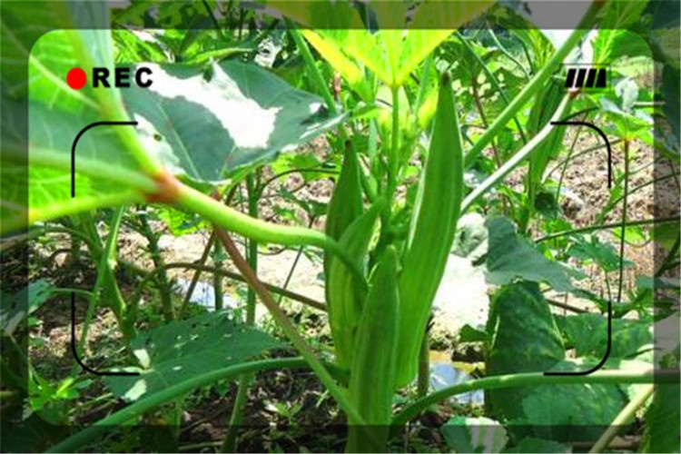 42岁的人，投资15万在农村创业，有哪些项目能年收入20万？