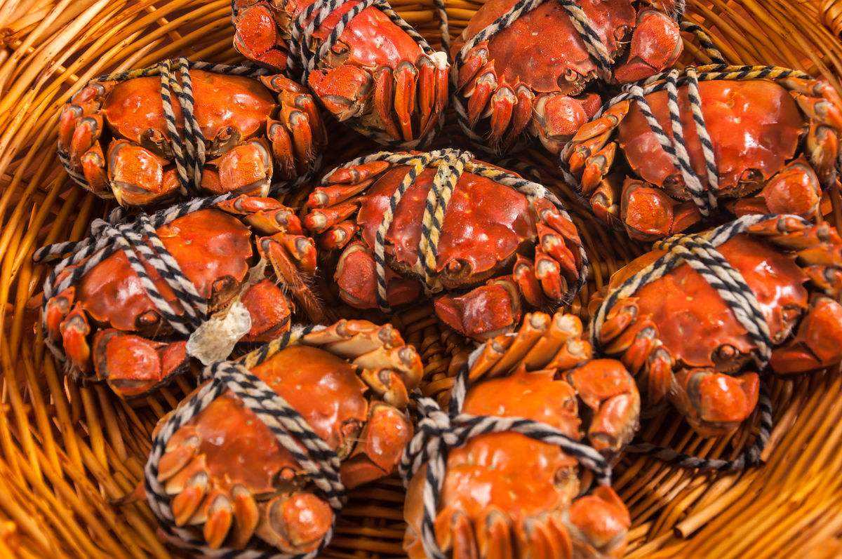 71350e97a7654b458e350164fc561df0?from=pc