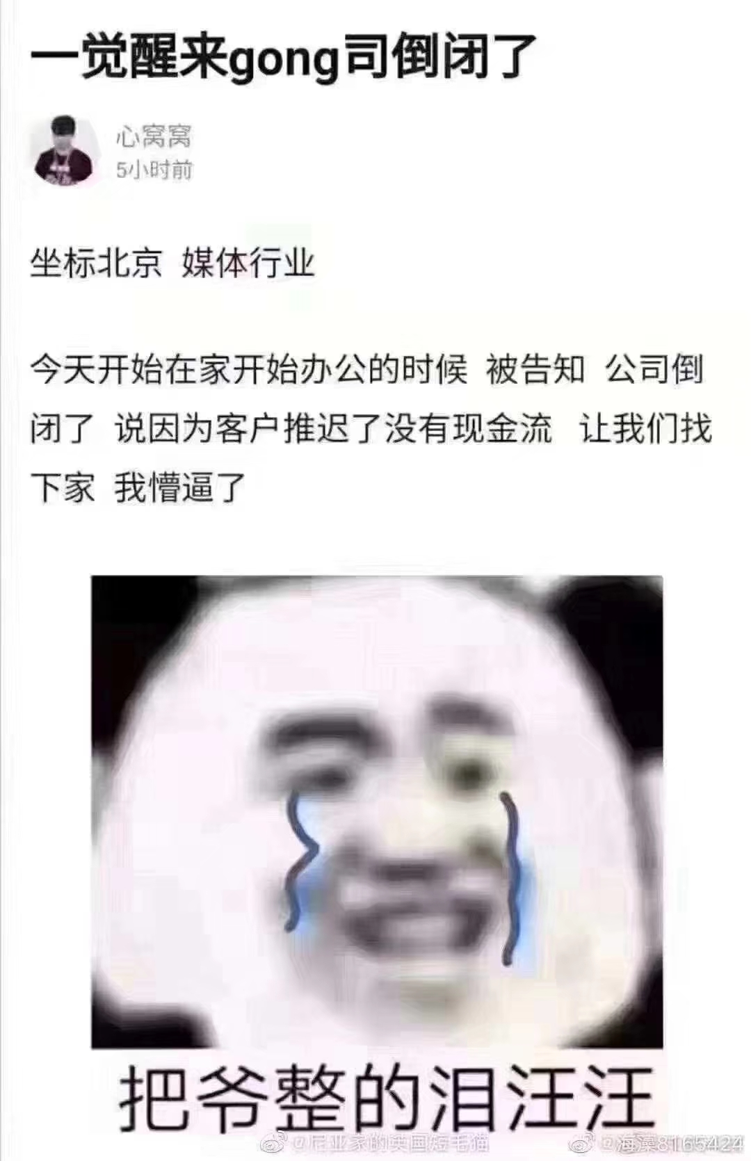 设计师年后找工作还没作品集？这60G作品集模板给你参考使用