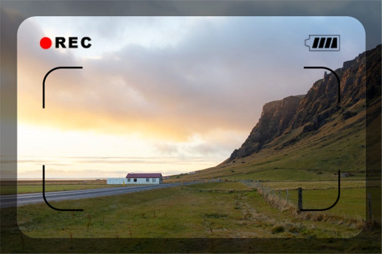 49岁人不想在城市混日子，想回农村搞养殖，养什么比较有前景？