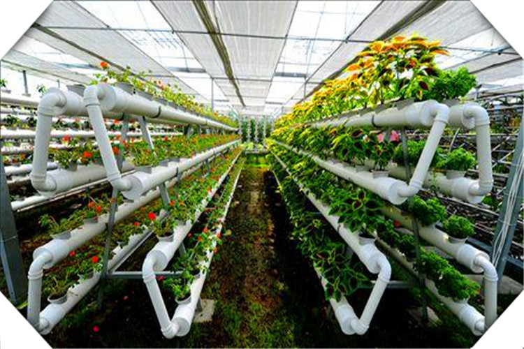 2020年，有哪些好的创业项目呢？这几个方面值得关注