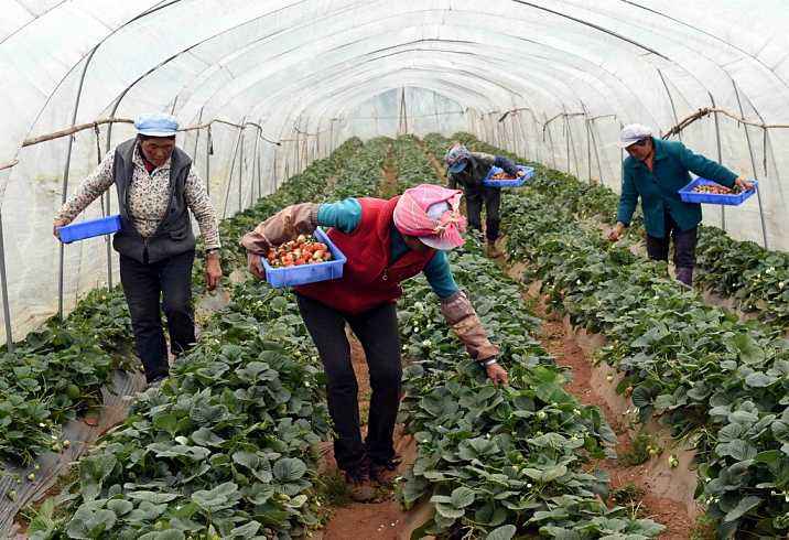 未来农村将现4大机遇，普通人也能布局，专家呼吁赶紧去农村买地