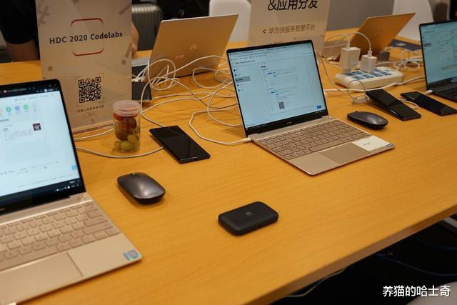 有惊喜，有热情，有关怀，我的HDC 2020华为开发者大会之行