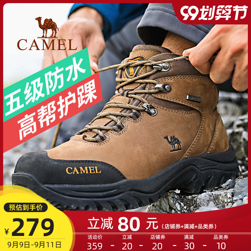 O1CN01Irigrg1wWmAoaf8aB_!!648476316