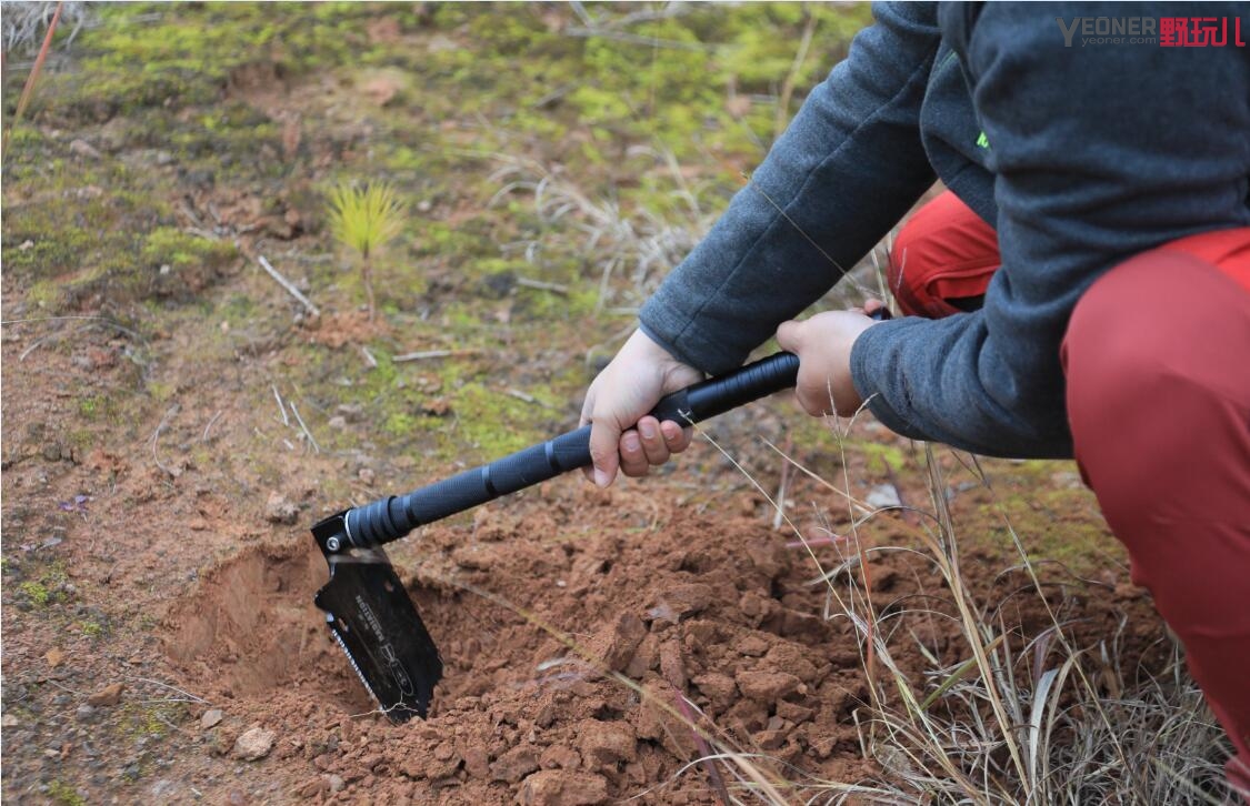 RBFoNFUI8MVpw0?from=pc