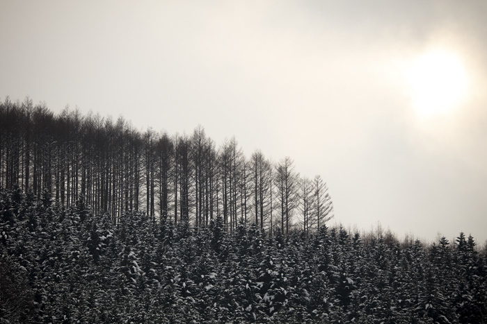 RVfrY2E6knbcUS?from=pc