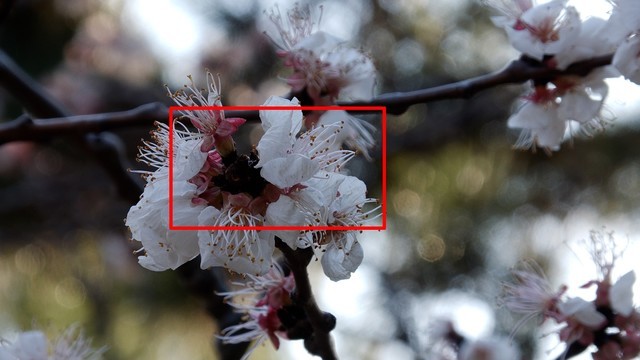 RycpmnF2LLfOa9?from=pc