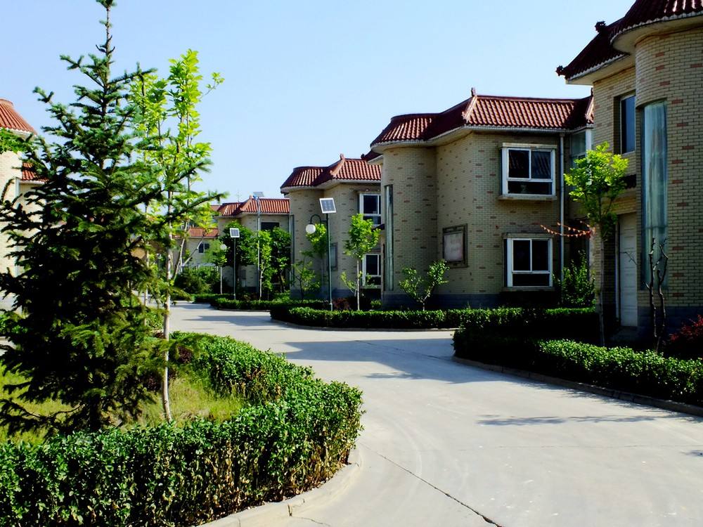 未来农村将现4大机遇，普通人也能布局，专家呼吁赶紧去农村买地