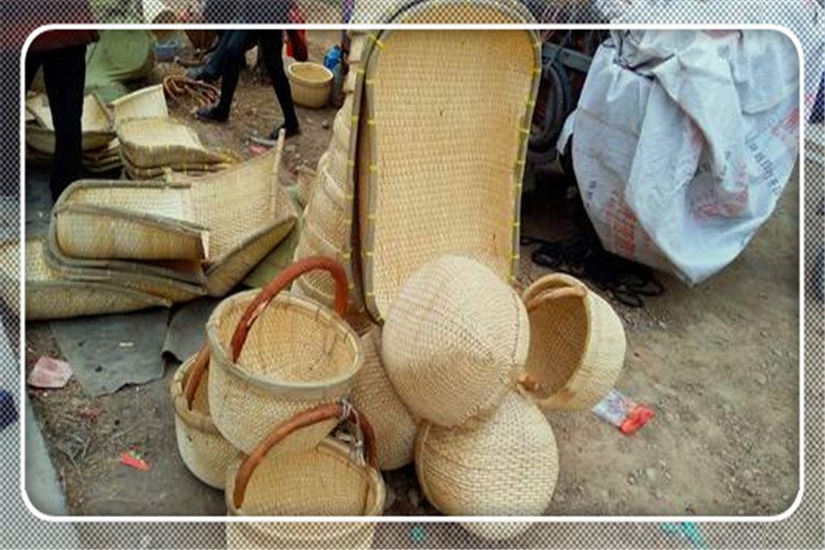 50岁的人六千元投入，在农村做哪些小生意，收入能比外出打工强