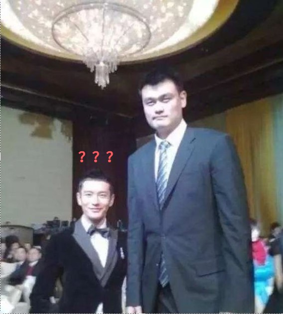 项目经理到底要不要懂技术