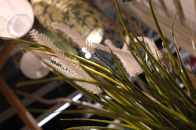 c05d927e1df343fbbe17a0243f074a5b?from=pc