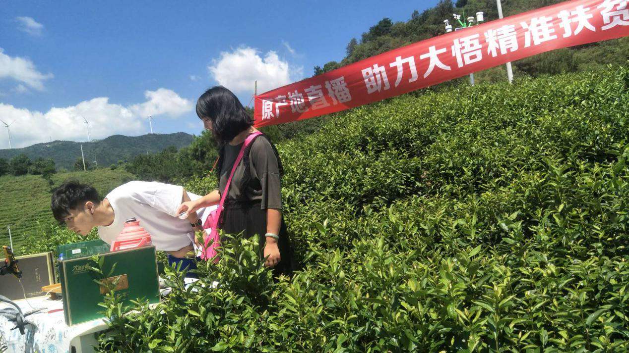 未来农村将现4大机遇，普通人也能布局，专家呼吁赶紧去农村买地