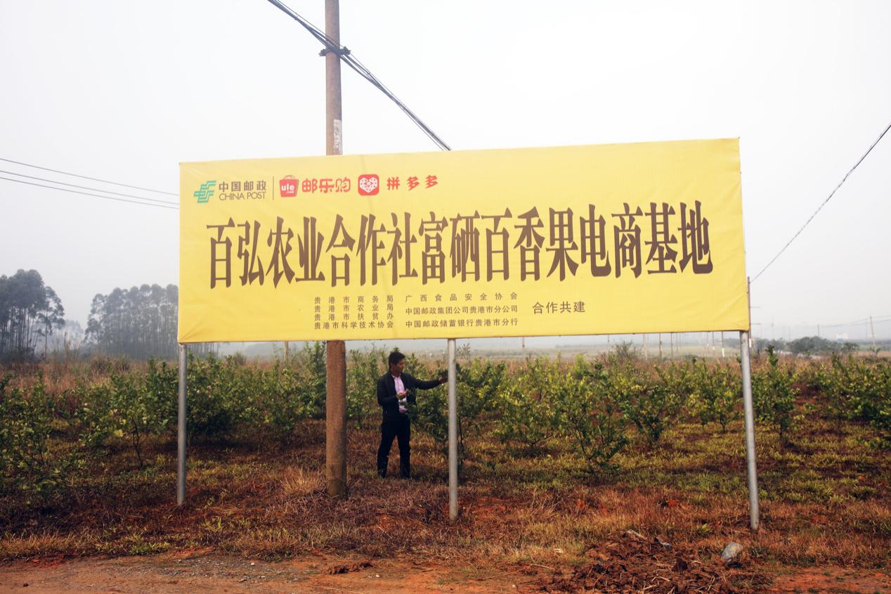 中国邮政与拼多多合作，三年内将打造150个中国邮政农产品基地