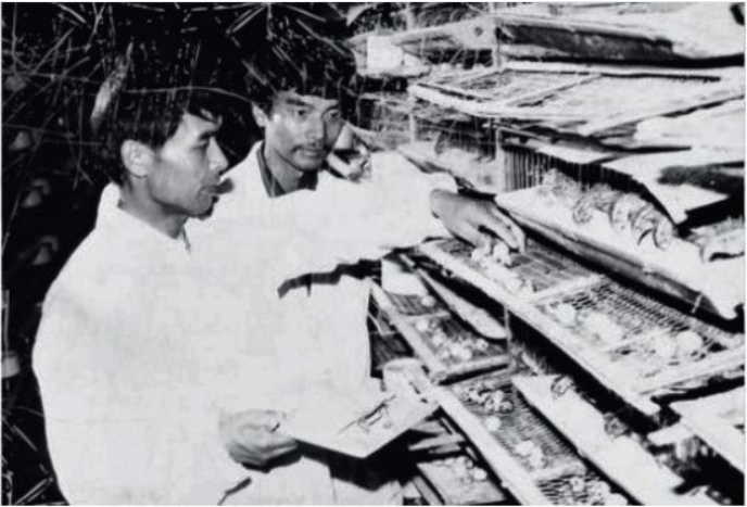 两年拍地花500亿！市值1800亿的养猪龙头，要搞房地产了？