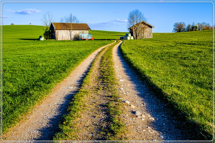 45岁人不想再继续打工，带5万元回农村，做什么能年收入10万