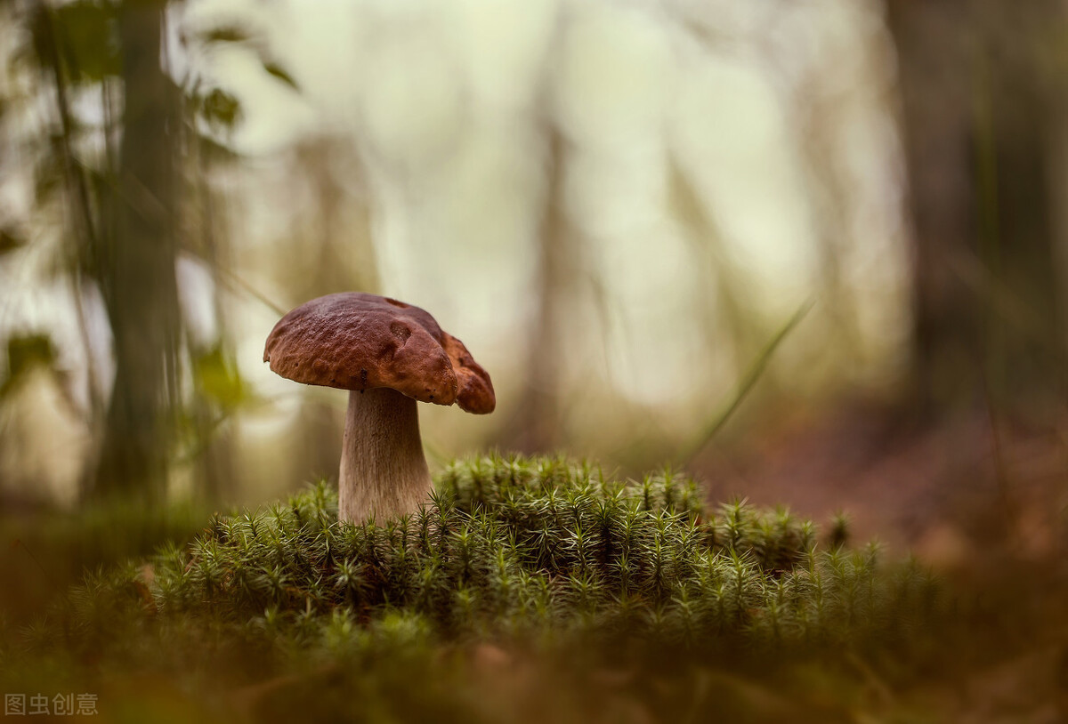 我，双一流硕士毕业，找工作却遭HR鄙视：抱歉，你这种学历不要