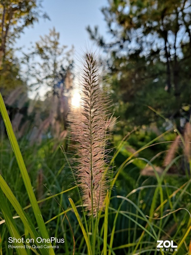 只要3399元起一加8T全面评测，越用越顺手的超级旗舰