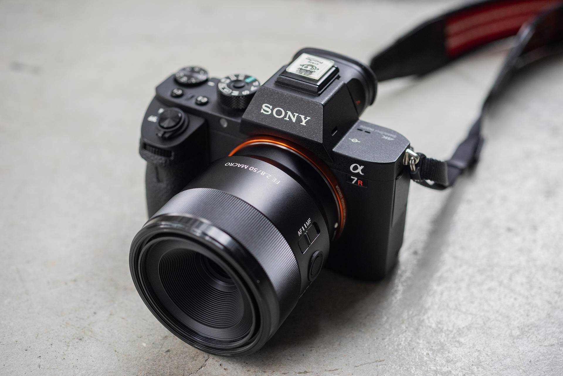 174c9d23b3f64d5998c509a72cfb8a96?from=pc