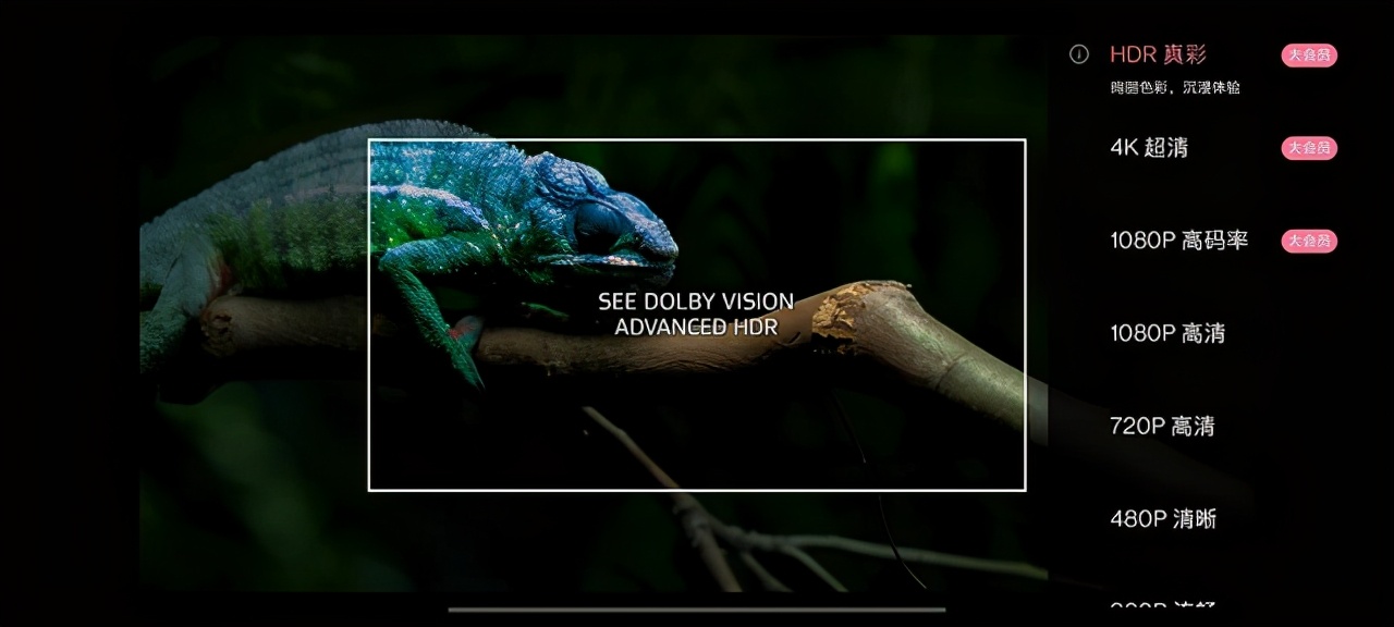 只要3399元起一加8T全面评测，越用越顺手的超级旗舰