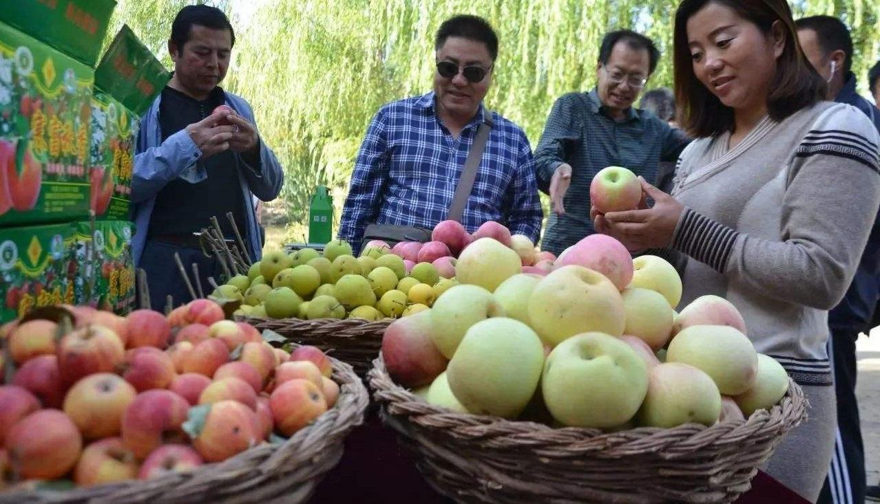 农村生意怎么做最赚钱？用这样一个绝招，轻轻松松年赚千万