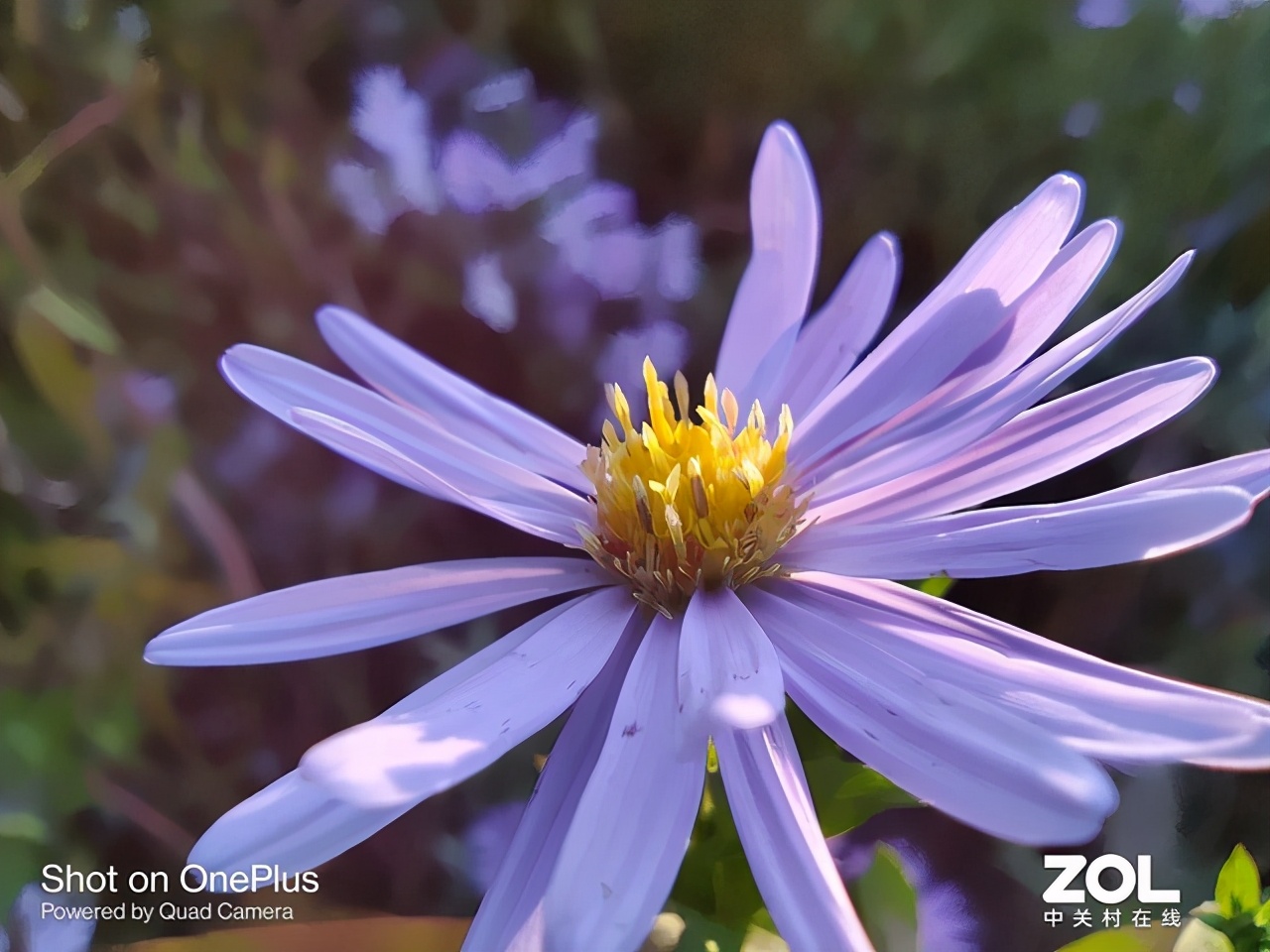 只要3399元起一加8T全面评测，越用越顺手的超级旗舰