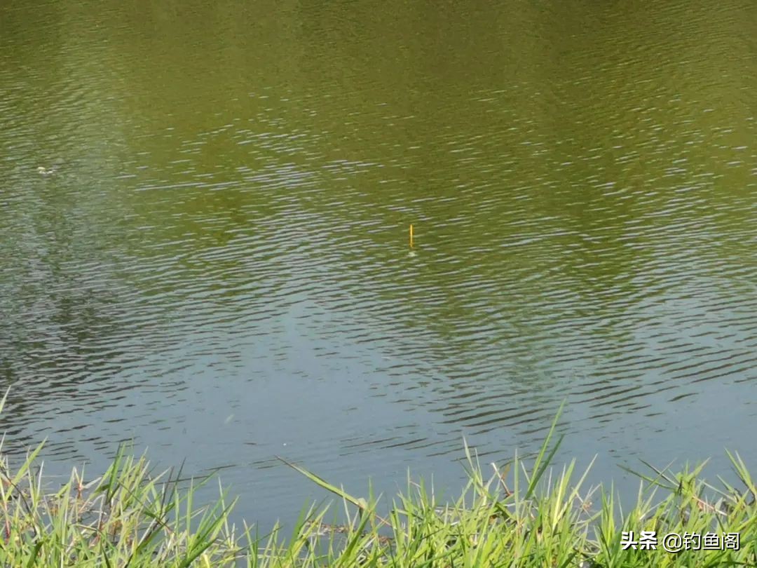 772f849d484447c6a534626cde3882c3?from=pc