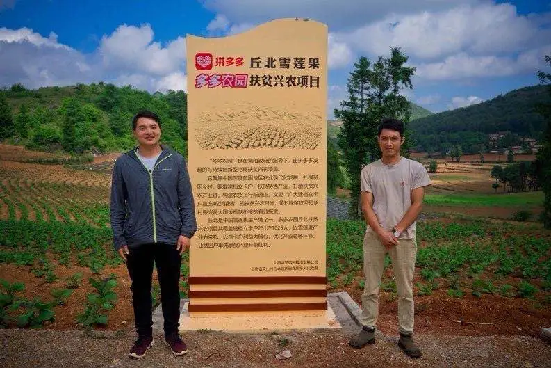 互联网新能源拼多多加速向前